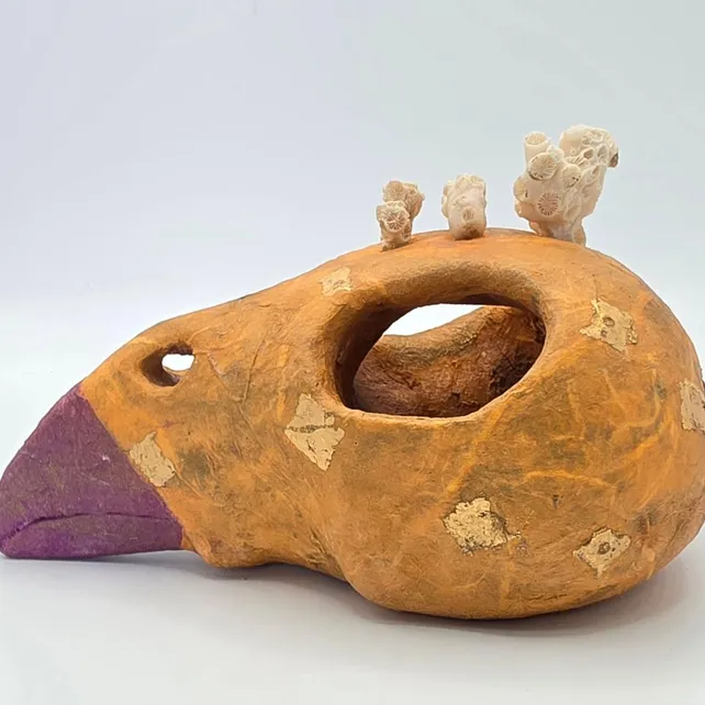 image6b