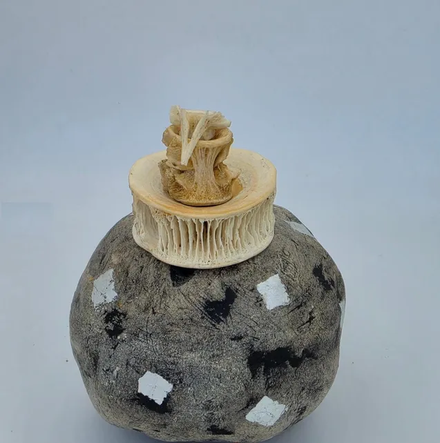 image8b